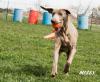 Missy Ball